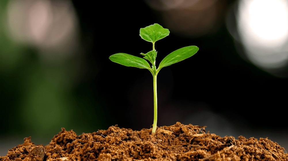 7 benefice long terme